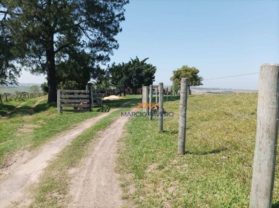 Sítio, 18 hectares - Foto 1