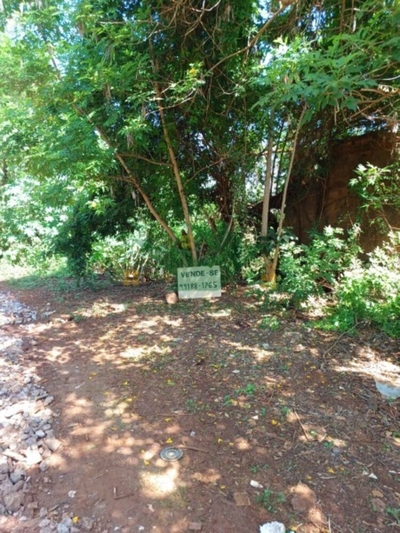 Terreno, 2025 m² - Foto 3