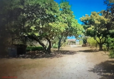 Casa, 8 quartos, 500 m² - Foto 3