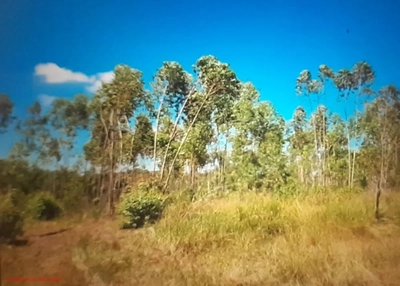 Casa, 8 quartos, 500 m² - Foto 2