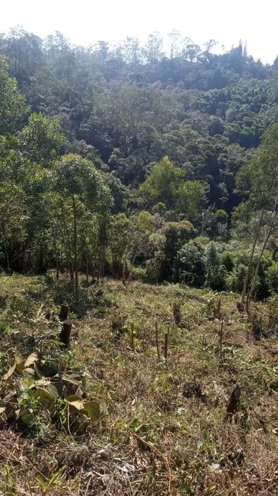 Terreno, 345 m² - Foto 2