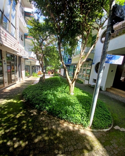 Sala-Conjunto, 304 m² - Foto 3