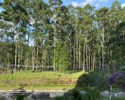 Apartamento, 2 quartos, 113 m² - Foto 4