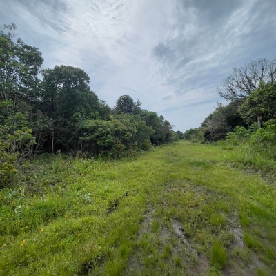 Terreno, 250 m² - Foto 2