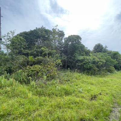 Terreno, 250 m² - Foto 1