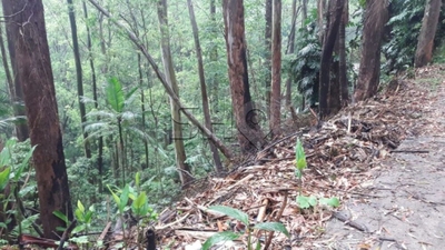 Terreno, 3350 m² - Foto 2