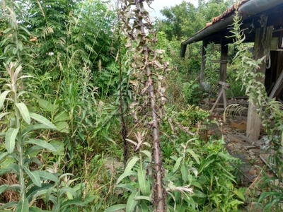 Terreno, 500 m² - Foto 5