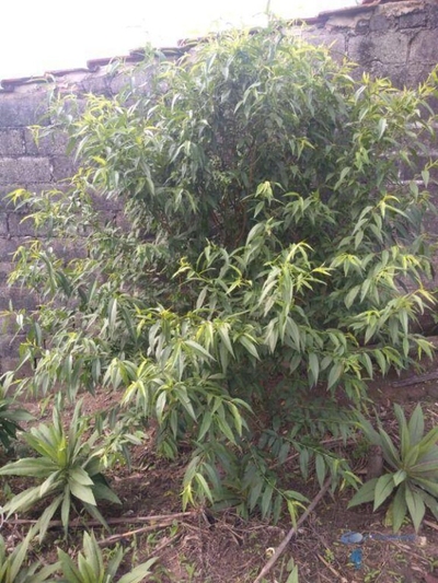 Terreno, 1100 m² - Foto 2