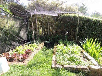 Casa, 4 quartos, 500 m² - Foto 4