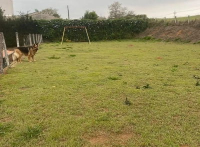 Casa, 4 quartos, 368 m² - Foto 5