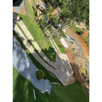 Sítio, 3 quartos, 10000 m² - Foto 5