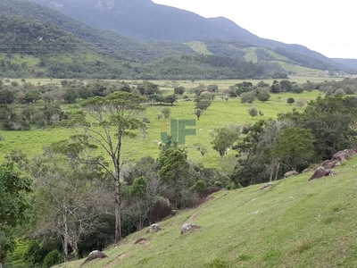 Fazenda-Sítio-Chácara, 53000 hectares - Foto 4