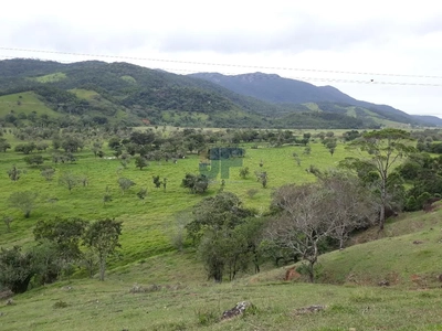 Fazenda-Sítio-Chácara, 53000 hectares - Foto 1