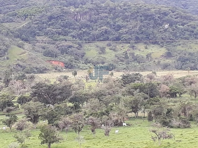 Fazenda-Sítio-Chácara, 53000 hectares - Foto 4