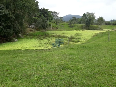 Fazenda-Sítio-Chácara, 53000 hectares - Foto 4