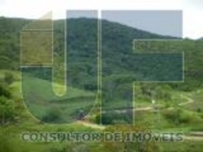 Fazenda, 207 hectares - Foto 4