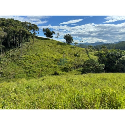 Terreno, 24 hectares - Foto 5