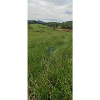 Fazenda, 82 hectares - Foto 3