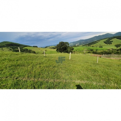 Fazenda-Sítio-Chácara, 82 hectares - Foto 4