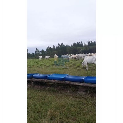 Fazenda-Sítio-Chácara, 62000 hectares - Foto 4