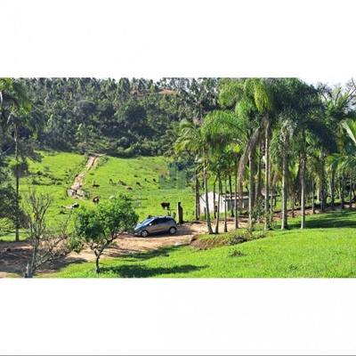 Terreno, 16 hectares - Foto 5