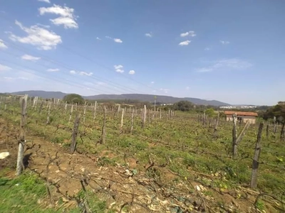 Fazenda-Sítio-Chácara - Foto 4