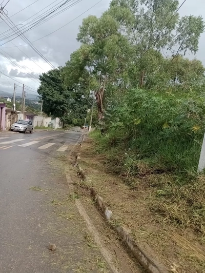 Terreno, 4500 m² - Foto 4