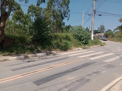 Terreno, 4500 m² - Foto 3