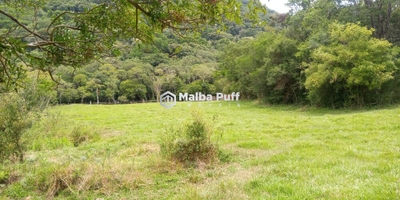 Terreno, 4 hectares - Foto 4
