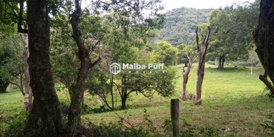 Terreno, 3 hectares - Foto 4