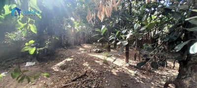 Terreno, 754 m² - Foto 2