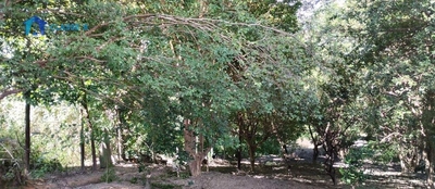 Terreno, 2000 m² - Foto 2