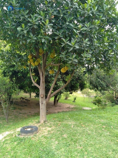 Chácara, 3 quartos, 2000 m² - Foto 2