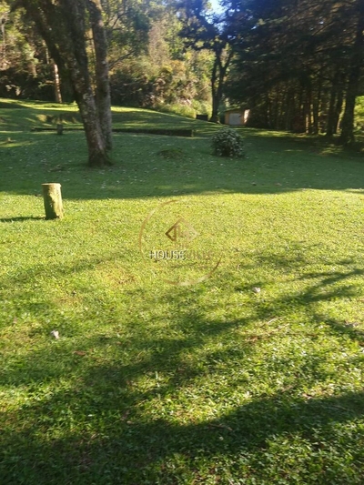 Sítio, 4 quartos, 15 hectares - Foto 4