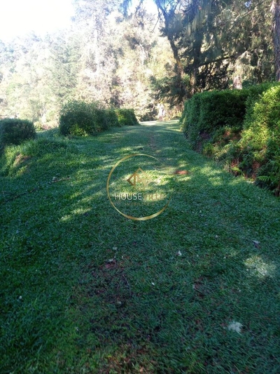 Sítio, 4 quartos, 15 hectares - Foto 3