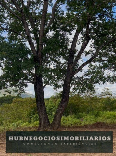 Terreno, 1000 m² - Foto 2