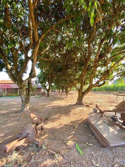 Sítio, 9 m² - Foto 2