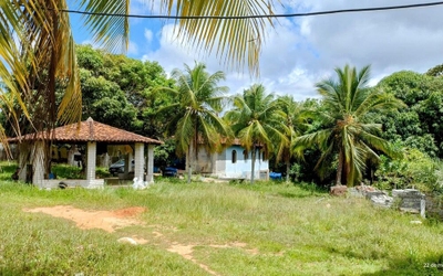 Chácara, 3 quartos, 80 m² - Foto 3