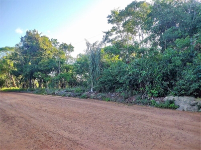 Terreno, 5500 m² - Foto 4