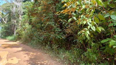 Terreno, 2025 m² - Foto 4