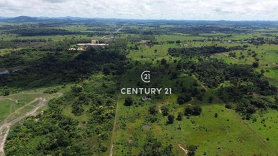 Terreno, 5 hectares - Foto 4