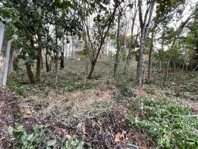 Loteamento e Condomínio, 510 m² - Foto 5