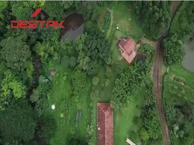 Chácara, 8 quartos, 2 hectares - Foto 3