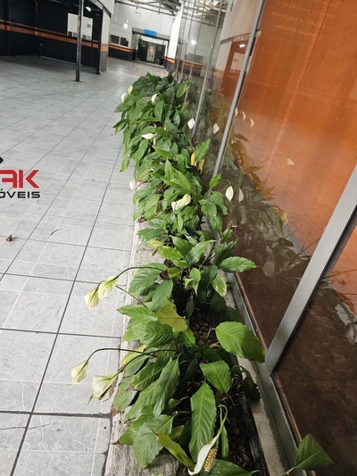 Depósito-Galpão, 400 m² - Foto 4