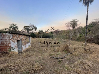 Terreno, 3 hectares - Foto 4