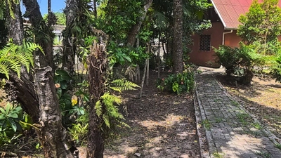 Chácara, 2 quartos, 1413 m² - Foto 3