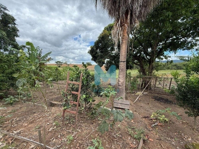 Chácara, 3 quartos, 4864 m² - Foto 3