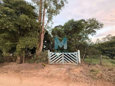 Chácara, 3 quartos, 4864 m² - Foto 2