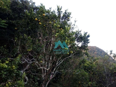 Sítio, 3 quartos, 6500 m² - Foto 3