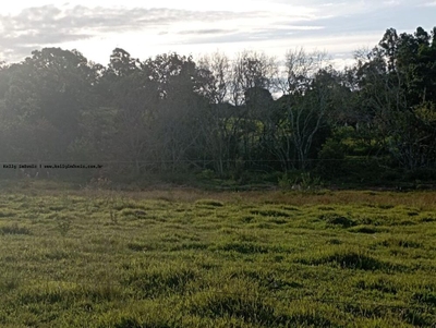 Chácara, 2 hectares - Foto 1